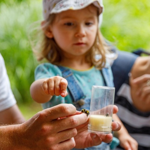 Mitmachen beim &bdquo;Langen Tag der Stadtnatur&ldquo; &nbsp; &nbsp;