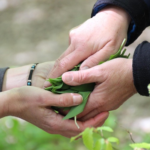 Aktionstag "Ernte gemeinsam teilen"