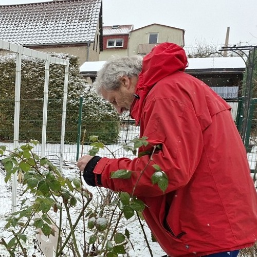 Winterschnitt an Zier- und Obstgehölzen